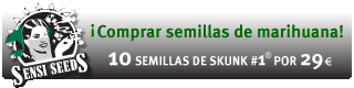 semillas de skunk#1 de Sensi Seeds