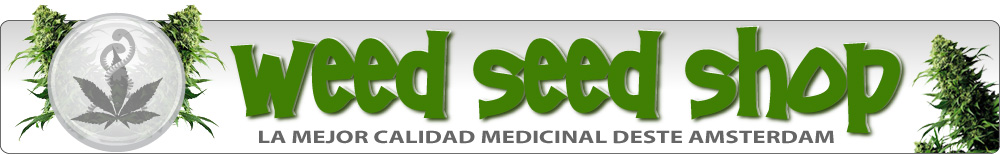Weed Seed Shop Semillas de Cannabis